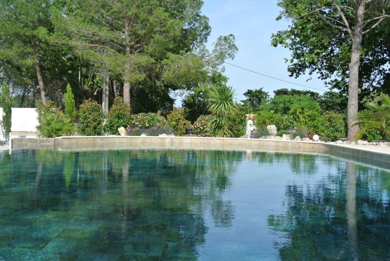 Grand Tamaris Hosting Bed & Breakfast Arles Exterior photo